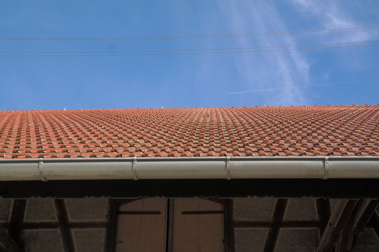roof panels, gutter, roof-228307.jpg